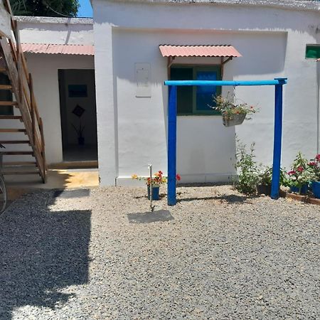 Hostal Paloma Cafe بالومينو المظهر الخارجي الصورة