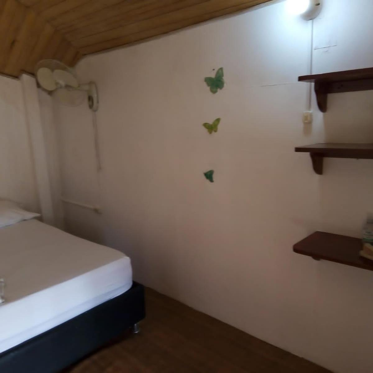 Hostal Paloma Cafe بالومينو المظهر الخارجي الصورة