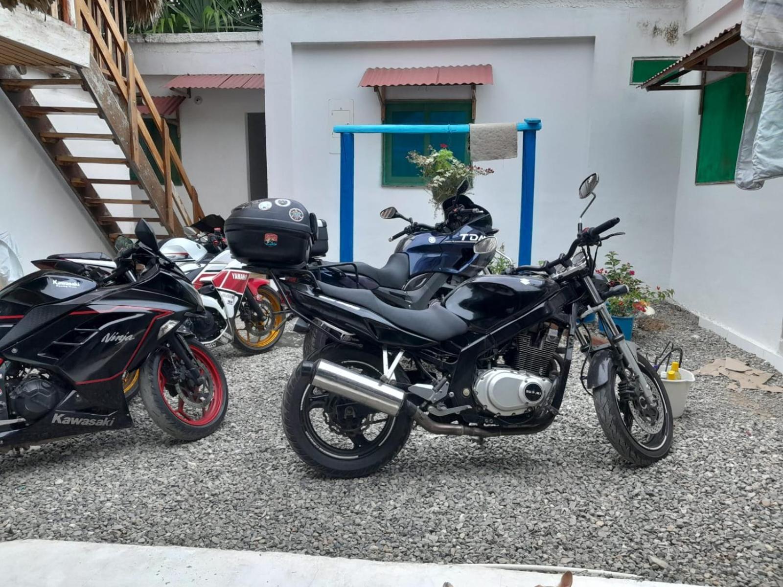 Hostal Paloma Cafe بالومينو المظهر الخارجي الصورة